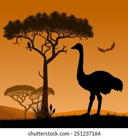 Ostrich. Savannah, the silhouette of the trees and the ostrich. Vector illustration. 