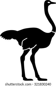 Ostrich silhouette
