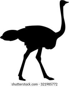 Ostrich silhouette