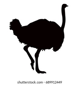 ostrich silhouette