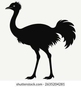 ostrich silhouette art and illustration