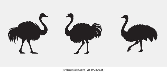 ostrich silhouette bundle vector illustration