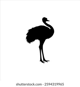 ostrich silhouette icon vector flat design.