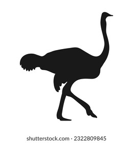 Ostrich. Silhouette. Isolated icon on a white background