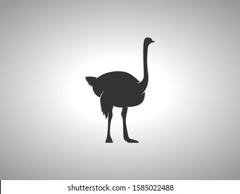 Ostrich Silhouette on White Background. Isolated Vector Animal
