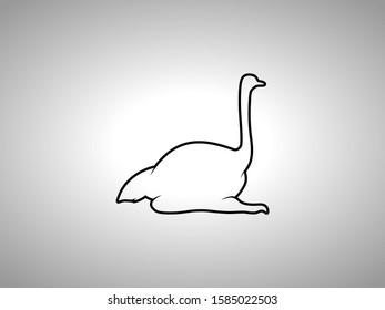 Ostrich Silhouette on White Background. Isolated Vector Animal