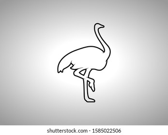 Ostrich Silhouette on White Background. Isolated Vector Animal