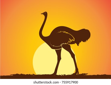 Ostrich Silhouette in Sunset Vector