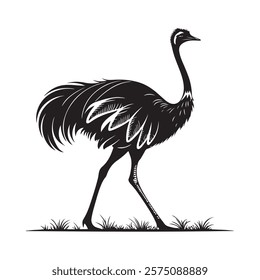 Ostrich silhouette vector art on white background