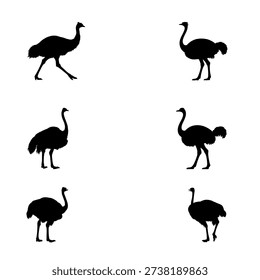 Ostrich Silhouette Vector Collection, Running and Standing Bird Wildlife Illustration Set