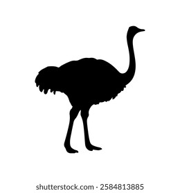 Ostrich silhouette vector flat illustration design on white background.