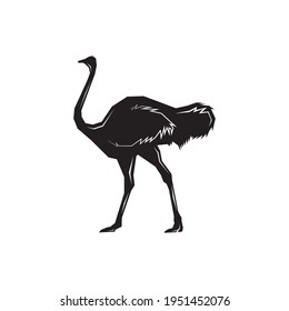 Ostrich Silhouette Vector Images, Flat Icons, Graphics, Logo Design. Black Ostrich Design Vector Illustration. Ostrich side view isolated on white background. Editable bird templates clipart symbol.