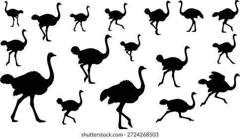Conjunto de Vector de silueta de avestruz, de pie, caminando, corriendo poses, ilustración de pájaro Grande para la vida silvestre, naturaleza, desierto, contenido educativo y de diseño