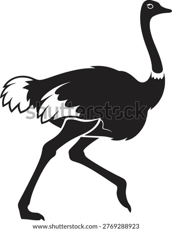 Ostrich silhouette walking gracefully with long neck vector art