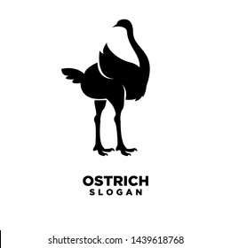 Ostrich silhouettes logo icon designs vector. Vector illustration isolated on the white background