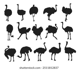 Ostrich silhouettes set Vector art