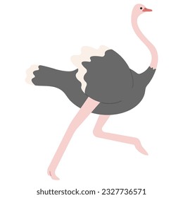 Ostrich Single 1 cute on white background, vector illustration. 