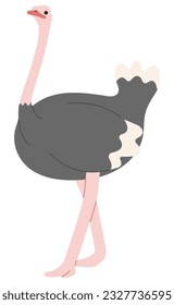 Ostrich Single 10 cute on white background, vector illustration. 