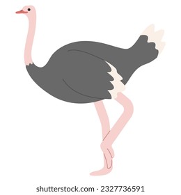 Ostrich Single 2 lindo sobre fondo blanco, ilustración vectorial. 