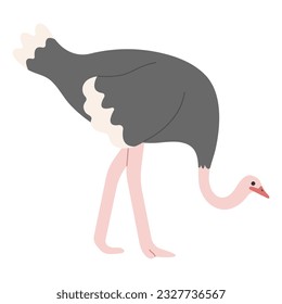 Ostrich Single 5 cute on white background, vector illustration. 