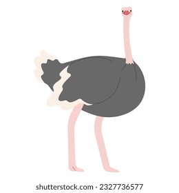 Ostrich Single 7 cute on white background, vector illustration. 