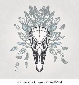 Ostrich skull on a plumage background. Contains transparent objects