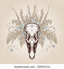 Ostrich skull on a plumage background. Contains transparent objects