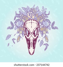 Ostrich skull on a plumage background. Contains transparent objects