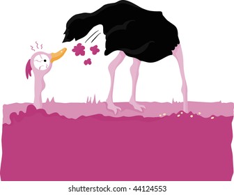 Ostrich smelling his own fart