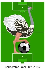 Ostrich with a soccer ball against the background of a football field.