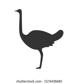 Ostrich is standing on one leg. Flat icon. Vector illustration.