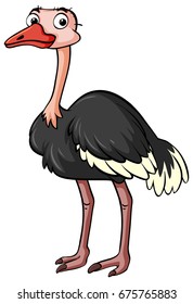 Ostrich parado en la ilustración de fondo blanco