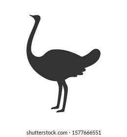 Ostrich tilted his neck back. Flat icon. Vector illustration.