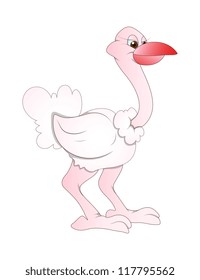 Ostrich Vector