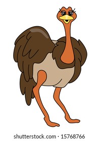 Ostrich - Vector