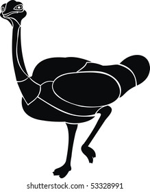 ostrich vector