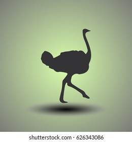 Ostrich vector. Birds of savannah in flat design. African fauna illustration. Wild life in tropics concept for childrens books illustrating.