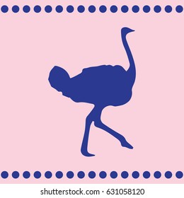 Ostrich vector. Birds of savannah in flat design. African fauna illustration