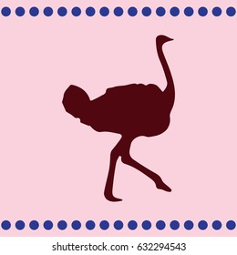 Ostrich vector. Birds of savannah in flat design. African fauna illustration