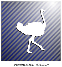 Ostrich vector. Birds of savannah in flat design. African fauna illustration.