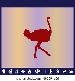 Ostrich vector. Birds of savannah in flat design. African fauna illustration.