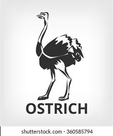 Ostrich Vector Black Icon Logo Illustration