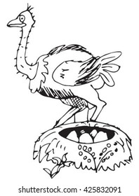 Ostrich vector drawn