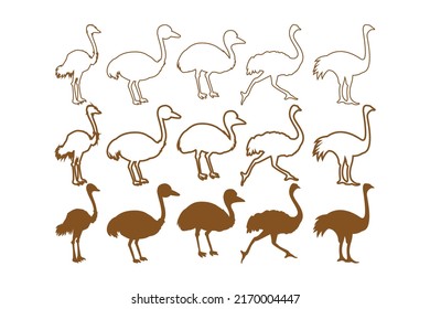 Ostrich Vector Icon Symbol Template. Ostrich Vector Illustration