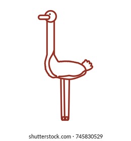 ostrich vector illustration