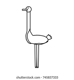   ostrich vector  illustration