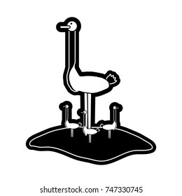 ostrich vector illustration