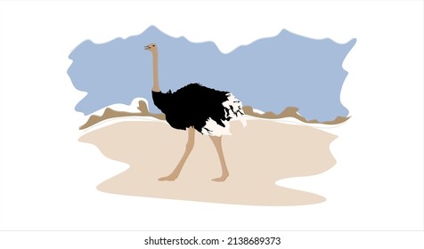 Ostrich vector illustration. African ostrich. Large flightless and long-legged fast running bird in flat style