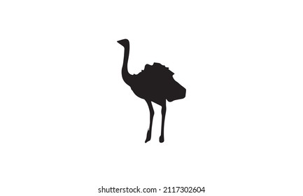 ostrich vector illustration design black and white