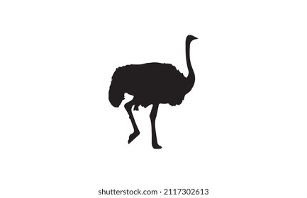 ostrich vector illustration design black and white